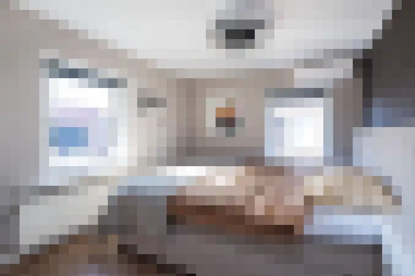 Secretaris Rooijlaan 9 Dirksland thumbnail 21