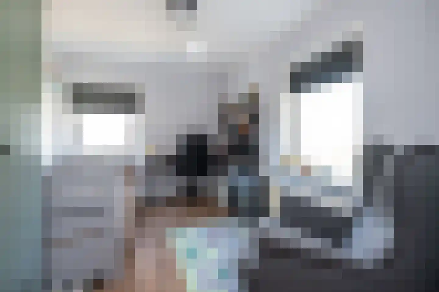 Secretaris Rooijlaan 9 Dirksland thumbnail 24