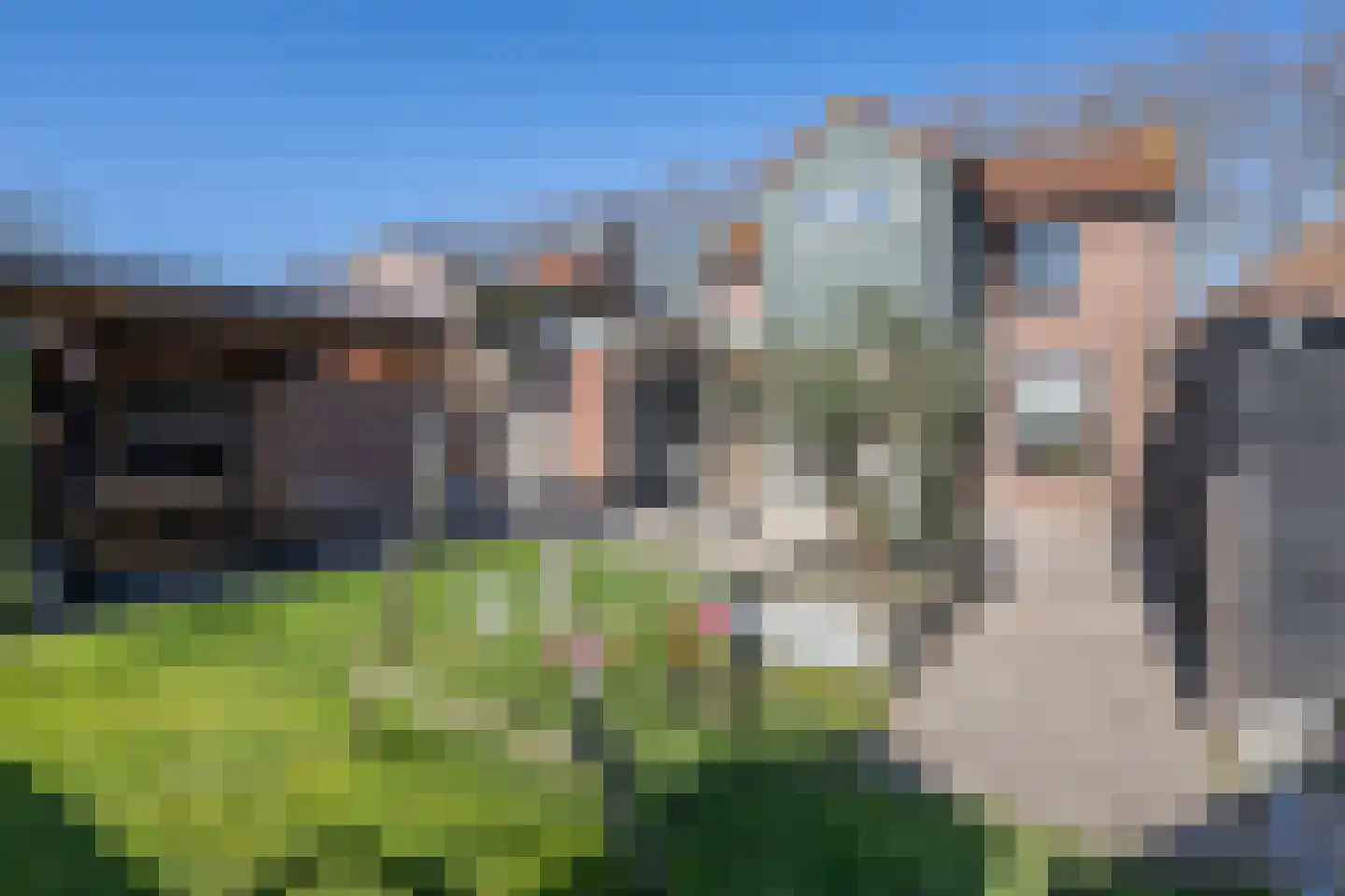 Secretaris Rooijlaan 9 Dirksland thumbnail 29