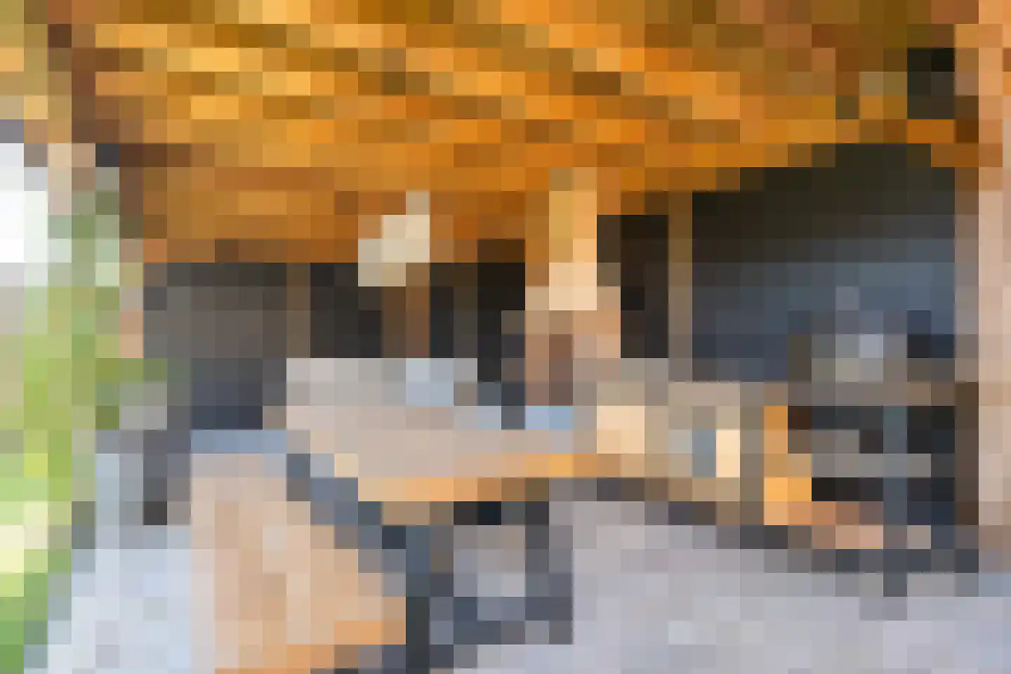 Secretaris Rooijlaan 9 Dirksland thumbnail 35