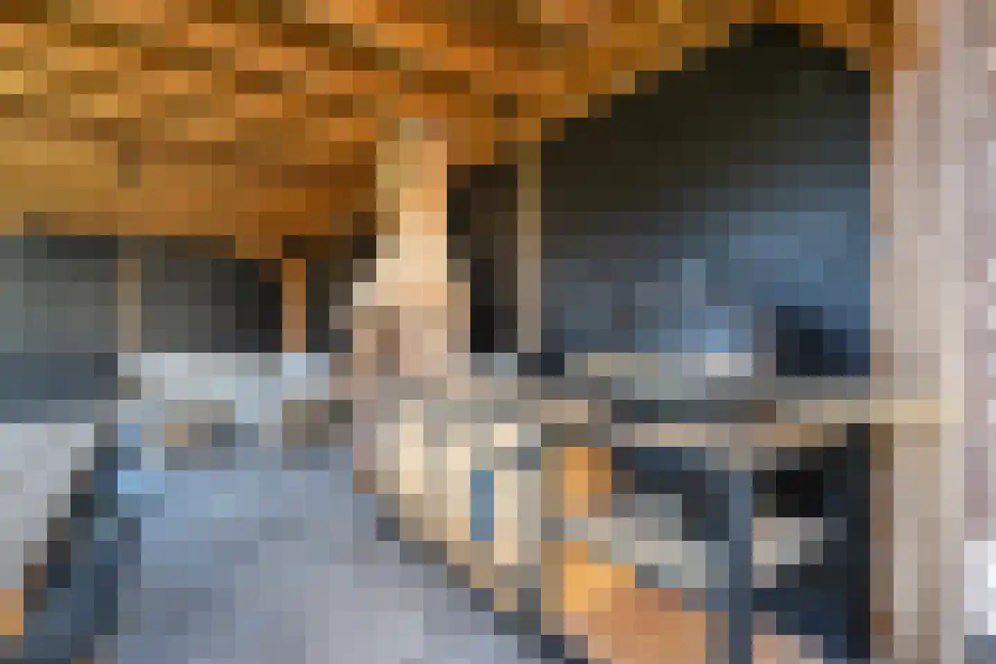 Secretaris Rooijlaan 9 Dirksland thumbnail 36