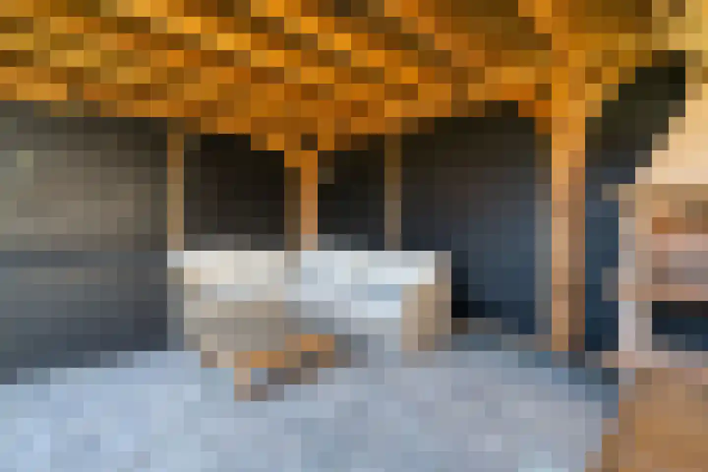 Secretaris Rooijlaan 9 Dirksland thumbnail 37