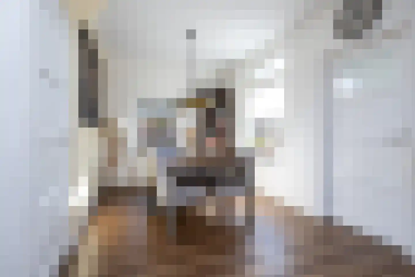 Secretaris Rooijlaan 9 Dirksland thumbnail 6