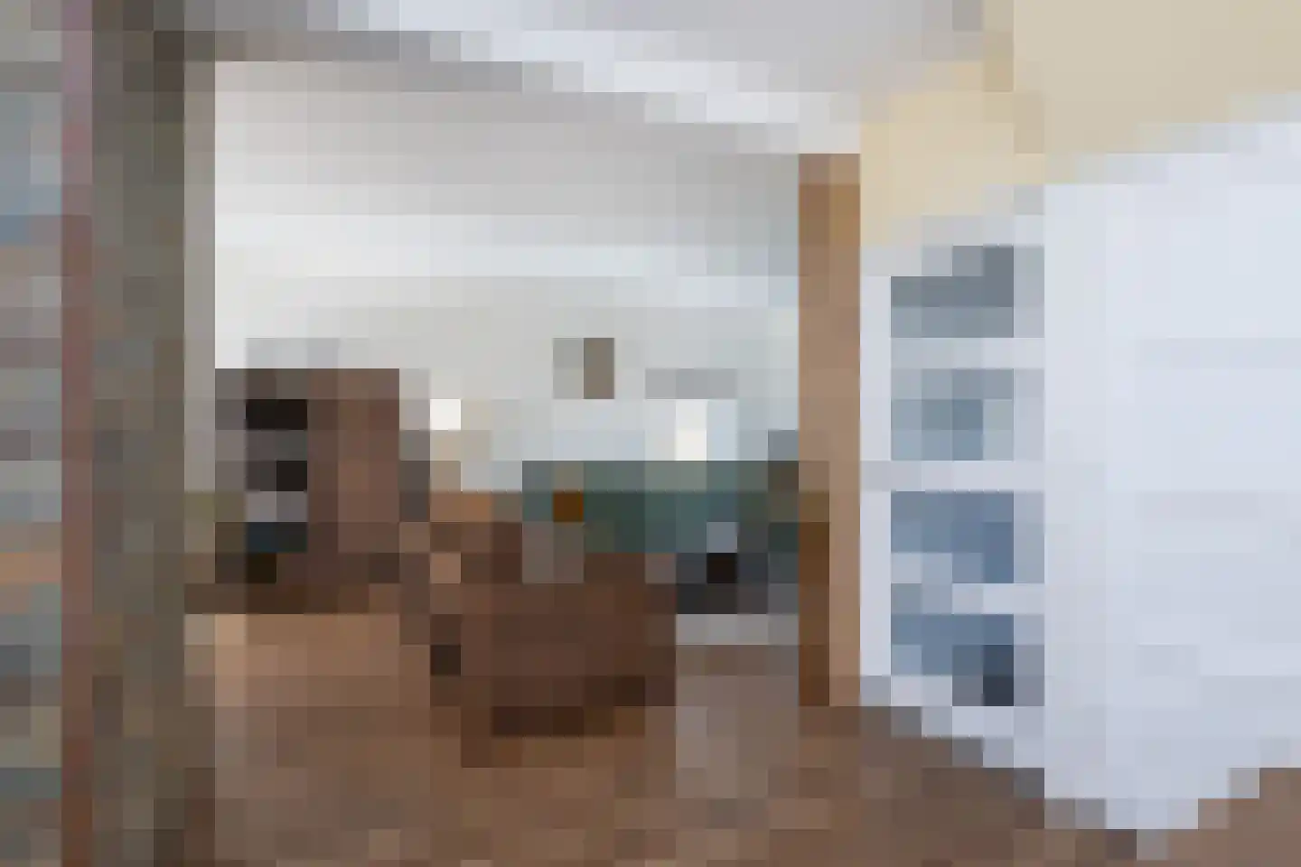 Secretaris Rooijlaan 9 Dirksland thumbnail 8