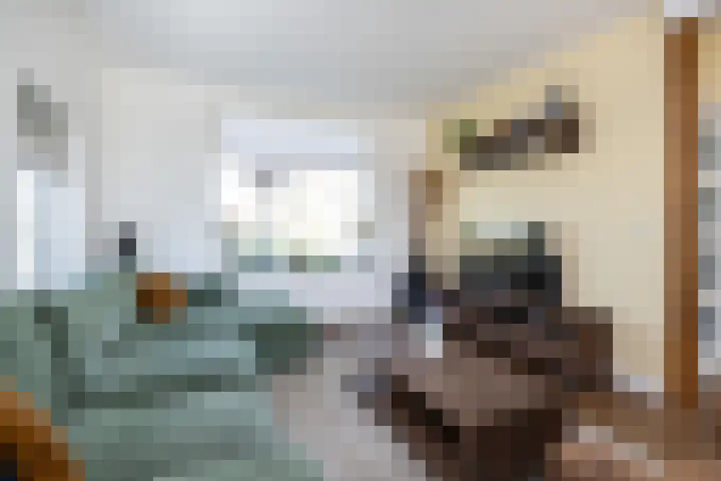 Secretaris Rooijlaan 9 Dirksland thumbnail 9