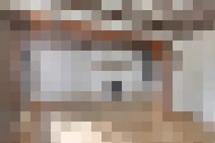 Secretaris van den Hoevelstraat 27 Oisterwijk thumbnail 4
