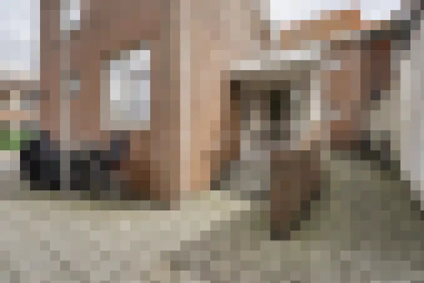 Secretaris Varkevisserstraat 164 Katwijk thumbnail 28