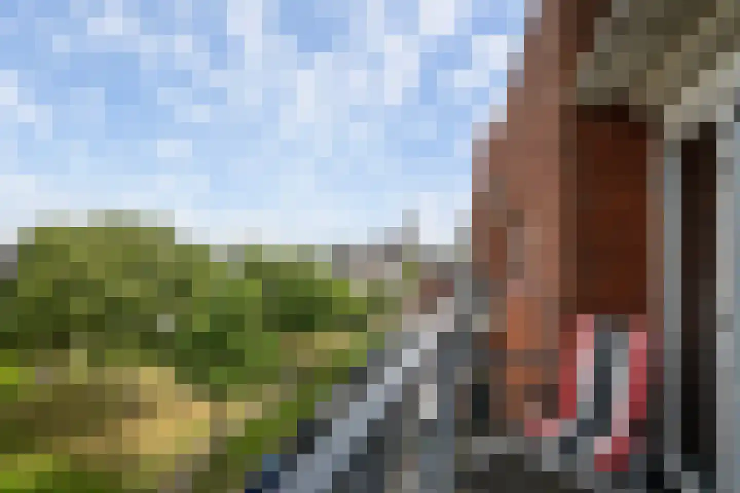 Secretaris Verhoeffweg 15 B Naaldwijk thumbnail 29