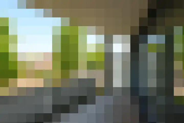 Secretaris Verhoeffweg 5 ap03 Naaldwijk thumbnail 10