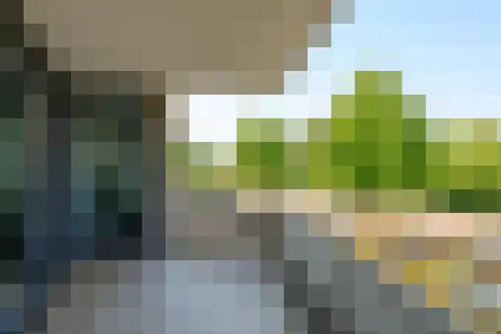Secretaris Verhoeffweg 5 ap03 Naaldwijk thumbnail 11