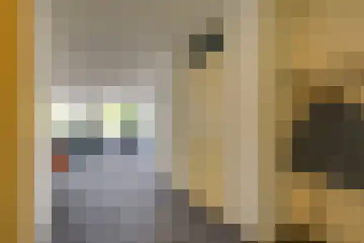 Secretaris Verhoeffweg 5 ap03 Naaldwijk thumbnail 13