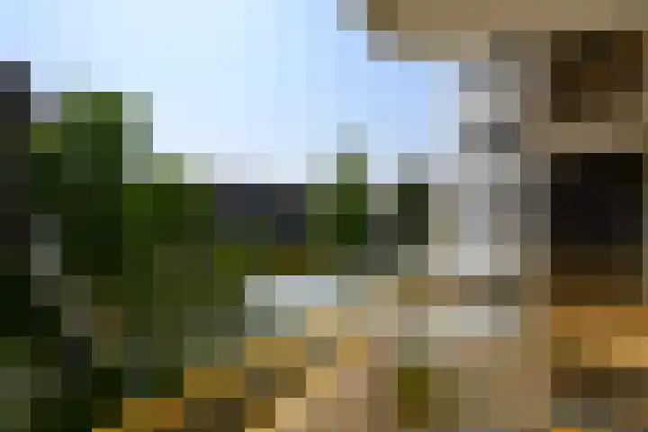 Secretaris Verhoeffweg 5 ap03 Naaldwijk thumbnail 19