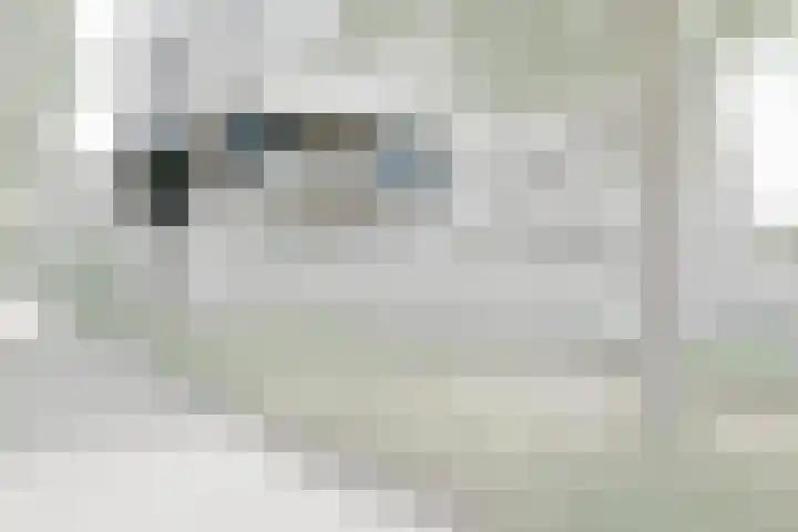 Secretaris Verhoeffweg 5 ap03 Naaldwijk thumbnail 25