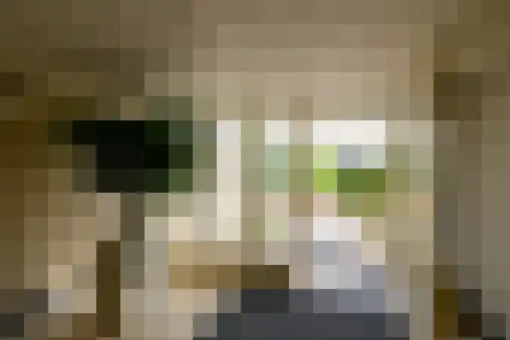 Secretaris Verhoeffweg 5 ap03 Naaldwijk thumbnail 28