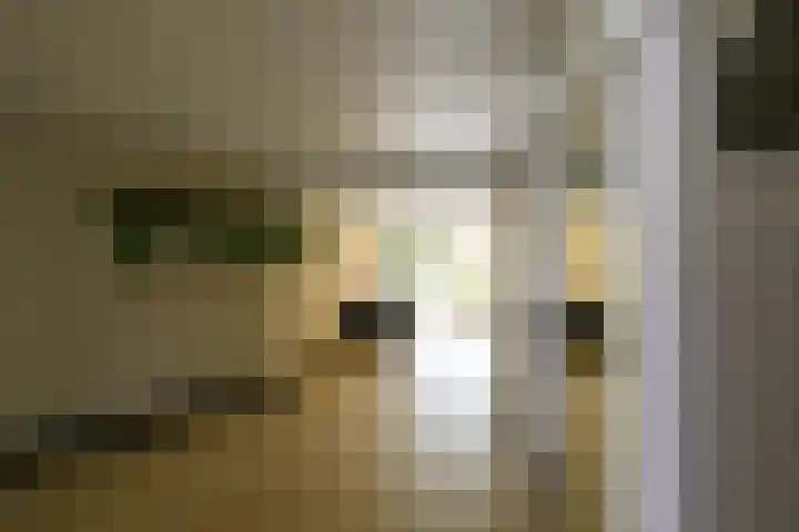 Secretaris Verhoeffweg 5 ap03 Naaldwijk thumbnail 30