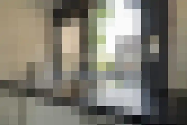 Secretaris Verhoeffweg 5 ap03 Naaldwijk thumbnail 7