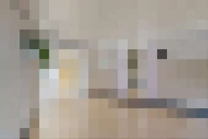 Secretaris Verhoeffweg 5 ap10 Naaldwijk thumbnail 24