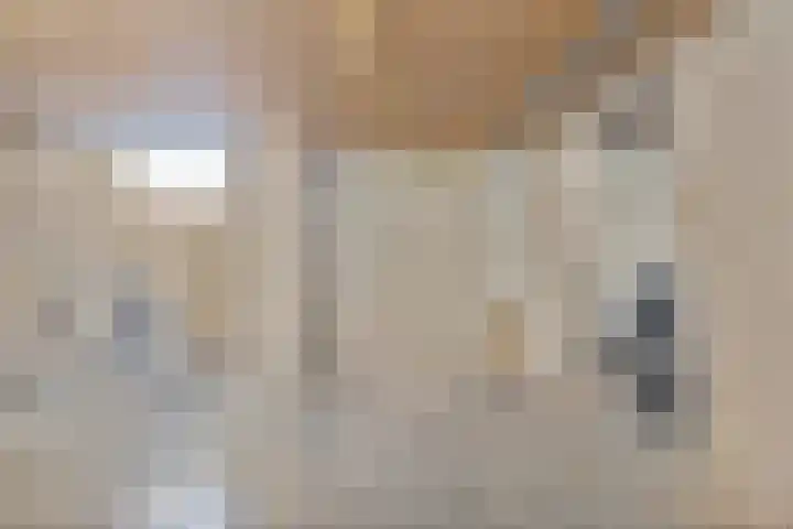 Secretaris Verhoeffweg 5 ap10 Naaldwijk thumbnail 25