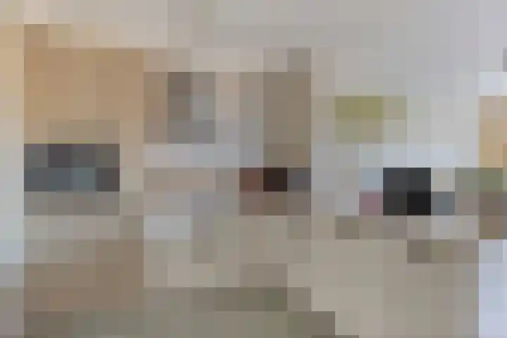 Secretaris Verhoeffweg 5 ap10 Naaldwijk thumbnail 4