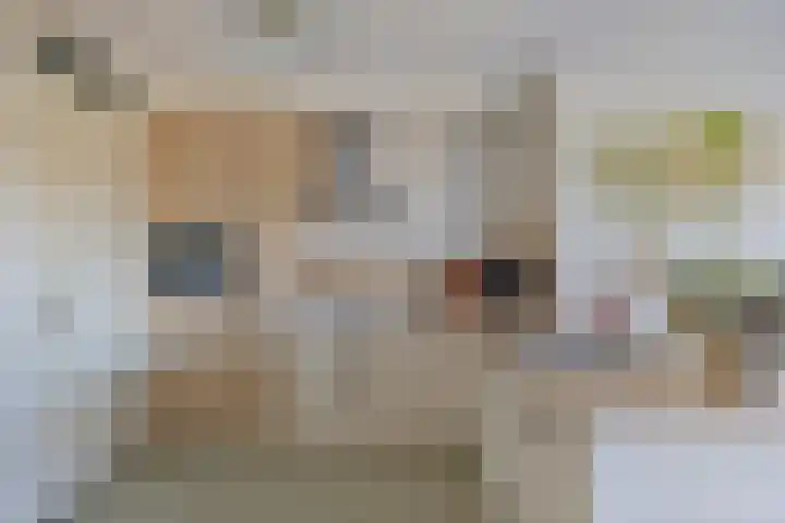Secretaris Verhoeffweg 5 ap10 Naaldwijk thumbnail 9