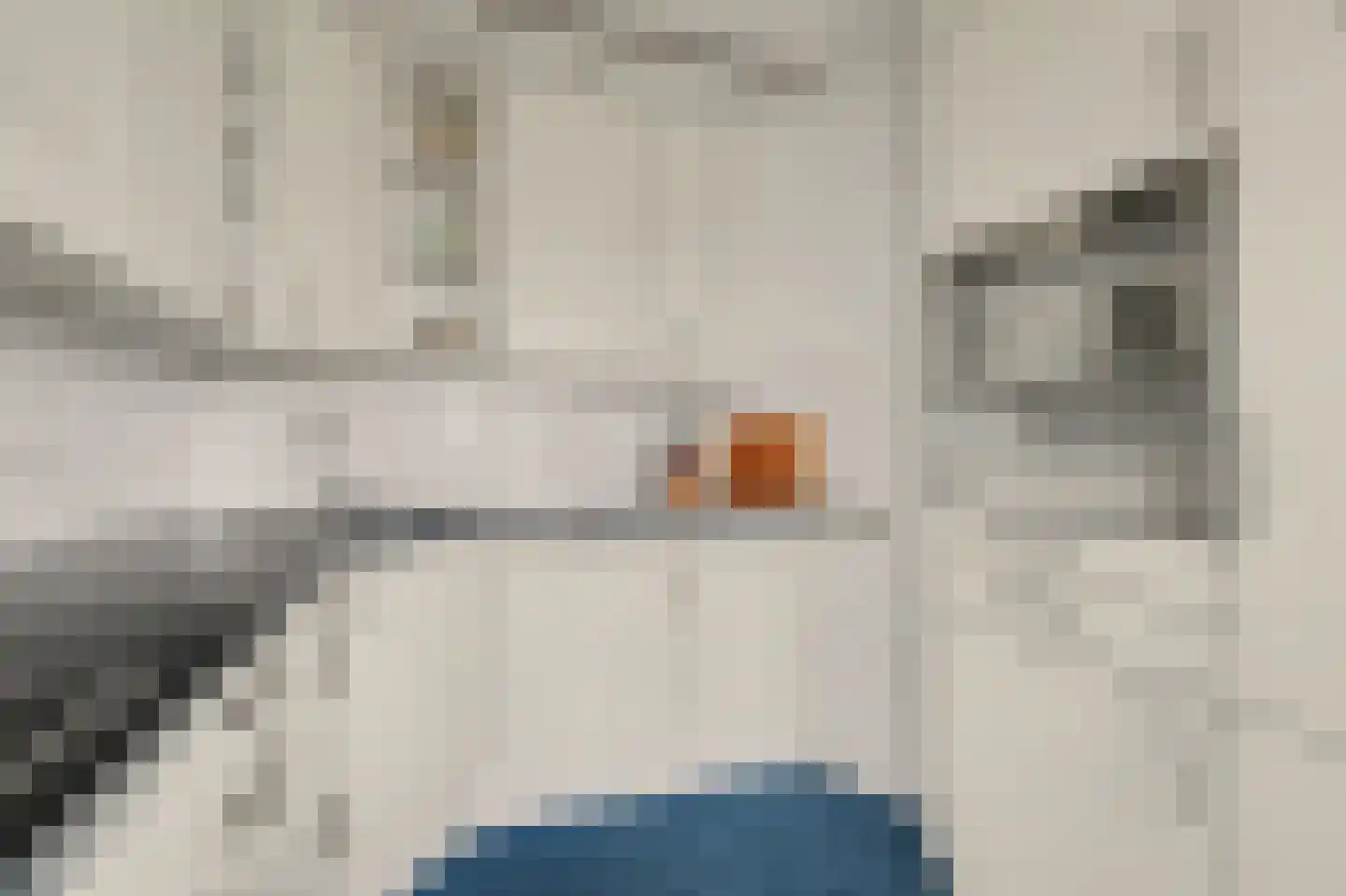 Secretaris Verhoeffweg 5 ap18 Naaldwijk thumbnail 23