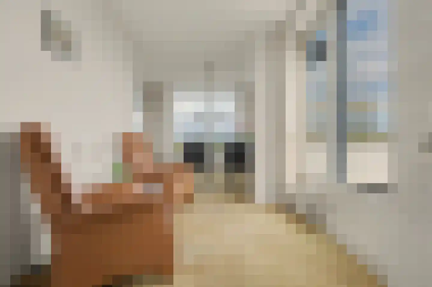 Secretaris Verhoeffweg 5 ap18 Naaldwijk thumbnail 26