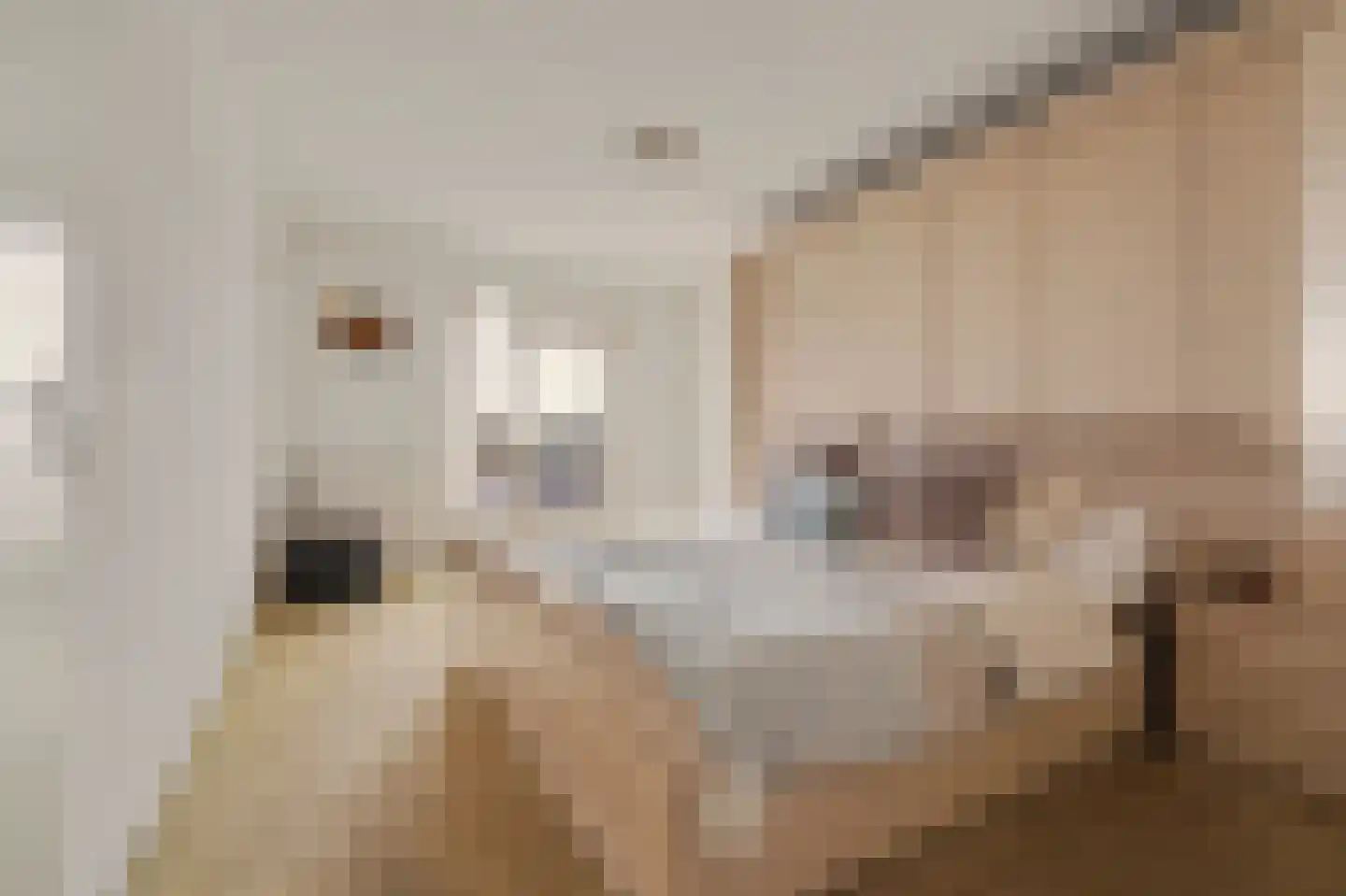 Secretaris Verhoeffweg 5 ap18 Naaldwijk thumbnail 29