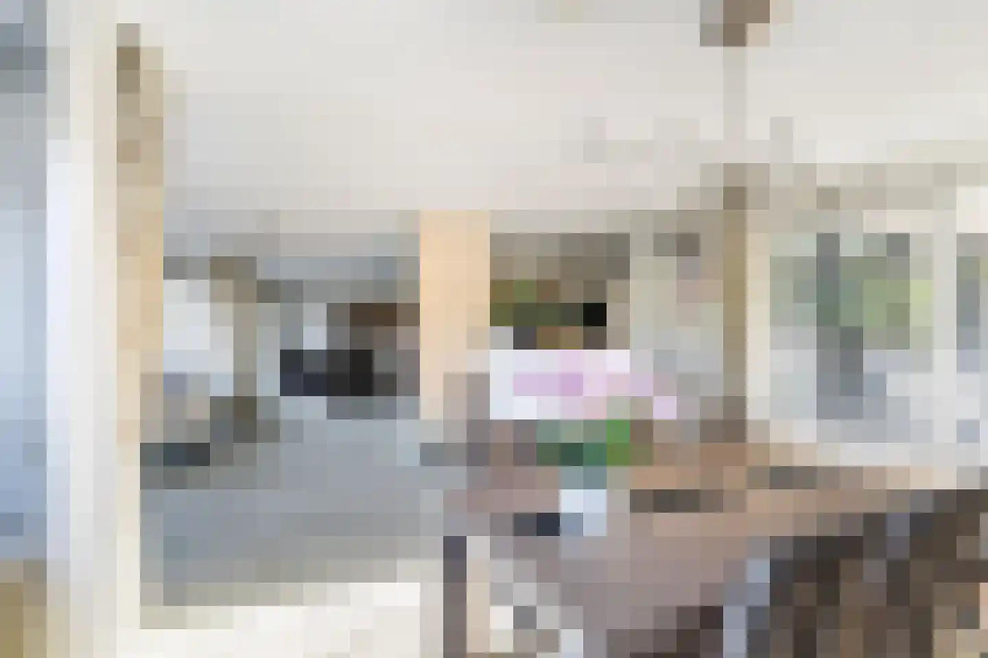 Secretaris Verhoeffweg 5 ap36 Naaldwijk thumbnail 12