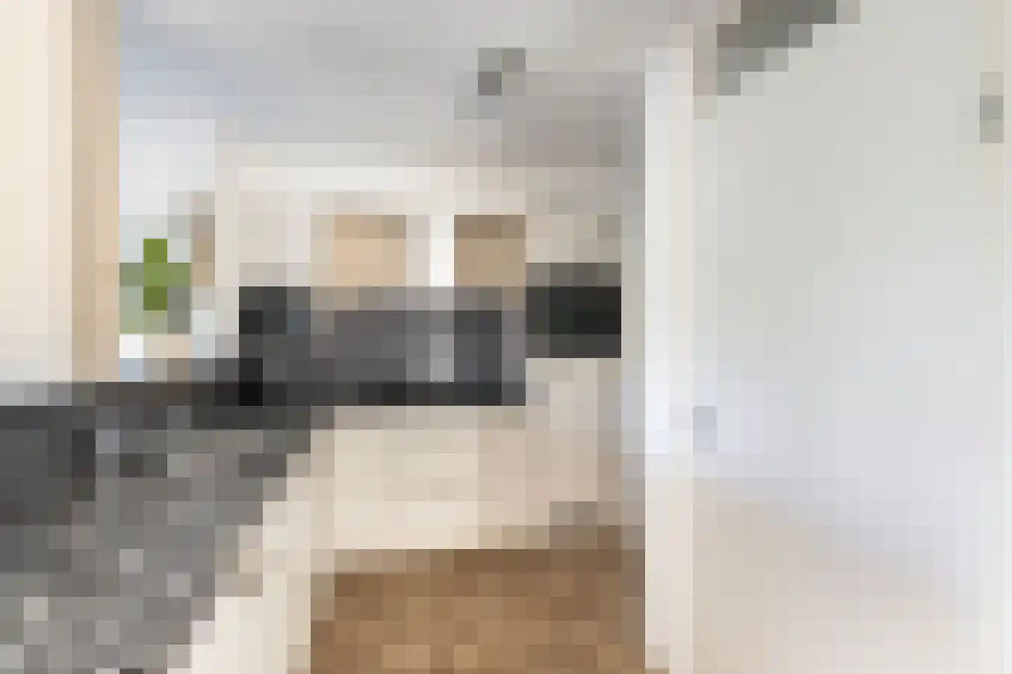 Secretaris Verhoeffweg 5 ap36 Naaldwijk thumbnail 14