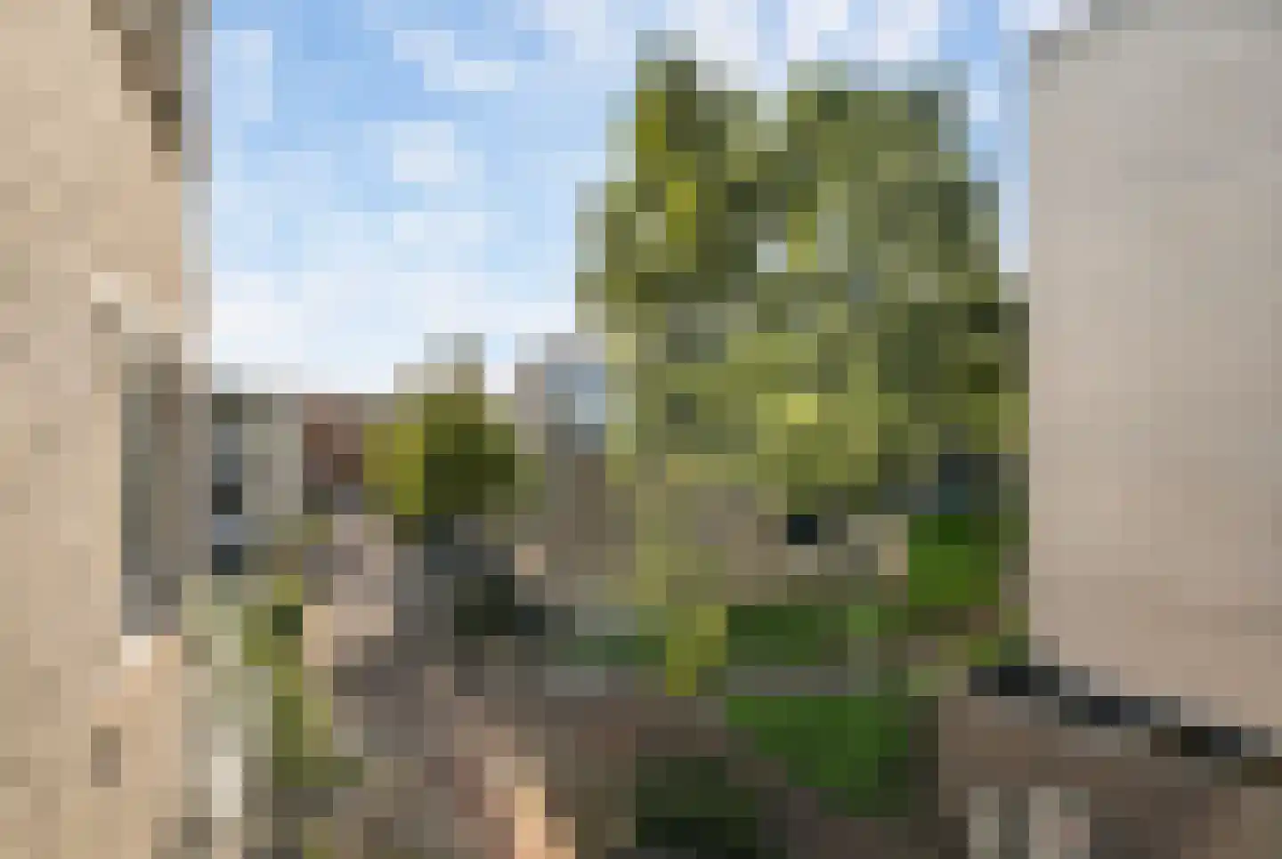 Secretaris Verhoeffweg 5 ap36 Naaldwijk thumbnail 19