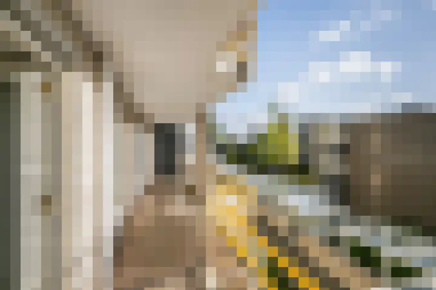 Secretaris Verhoeffweg 5 ap36 Naaldwijk thumbnail 36