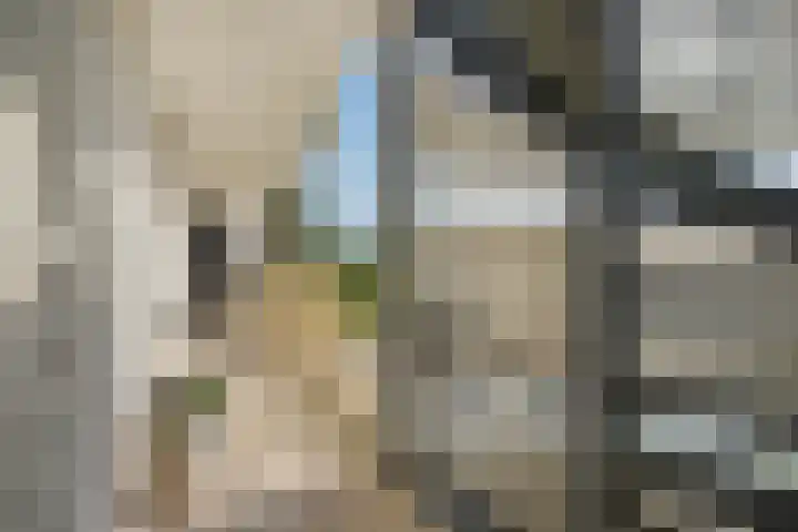 Secretaris Verhoeffweg 5 ap39 Naaldwijk thumbnail 11