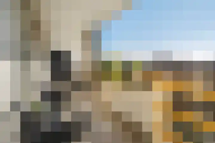Secretaris Verhoeffweg 5 ap39 Naaldwijk thumbnail 12