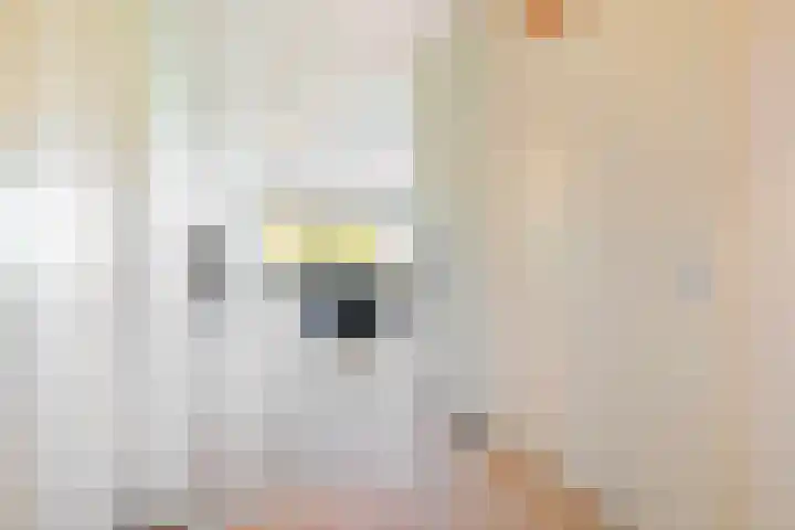 Secretaris Verhoeffweg 5 ap39 Naaldwijk thumbnail 17