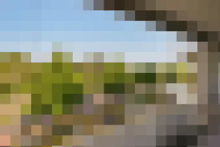 Secretaris Verhoeffweg 5 ap39 Naaldwijk thumbnail 32
