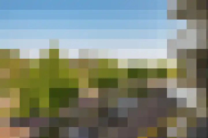 Secretaris Verhoeffweg 5 ap39 Naaldwijk thumbnail 33