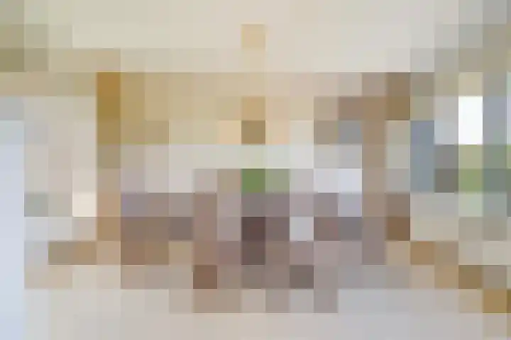 Secretaris Verhoeffweg 5 ap39 Naaldwijk thumbnail 36
