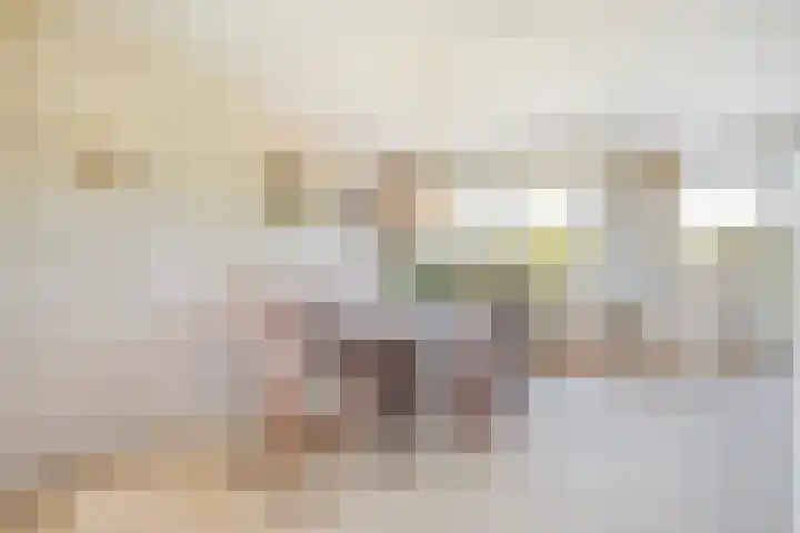 Secretaris Verhoeffweg 5 ap39 Naaldwijk thumbnail 37