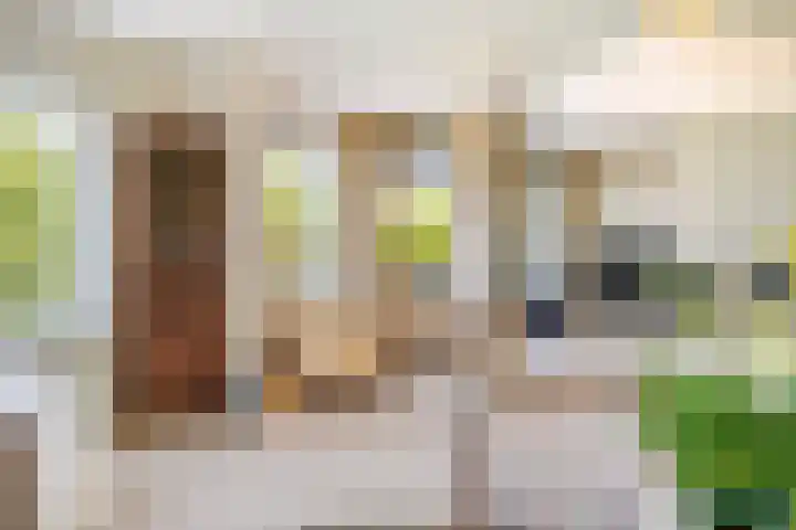 Secretaris Verhoeffweg 5 ap39 Naaldwijk thumbnail 41