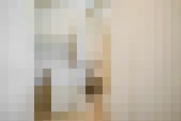 Secretaris Verhoeffweg 5 ap39 Naaldwijk thumbnail 48