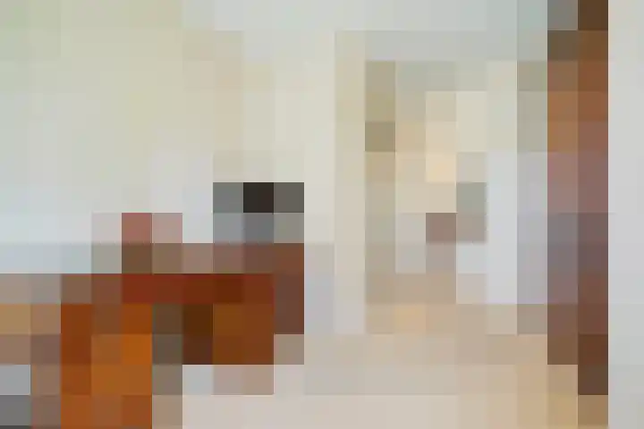 Secretaris Verhoeffweg 5 ap39 Naaldwijk thumbnail 58