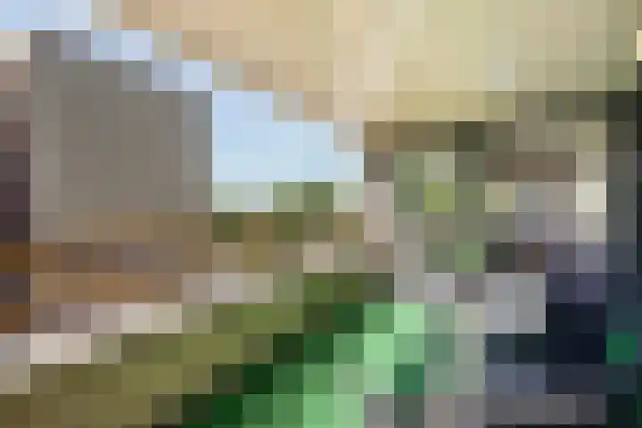 Secretaris Verhoeffweg 5 ap39 Naaldwijk thumbnail 60