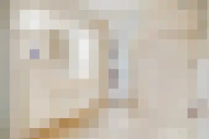 Secretaris Verhoeffweg 5 ap39 Naaldwijk thumbnail 64
