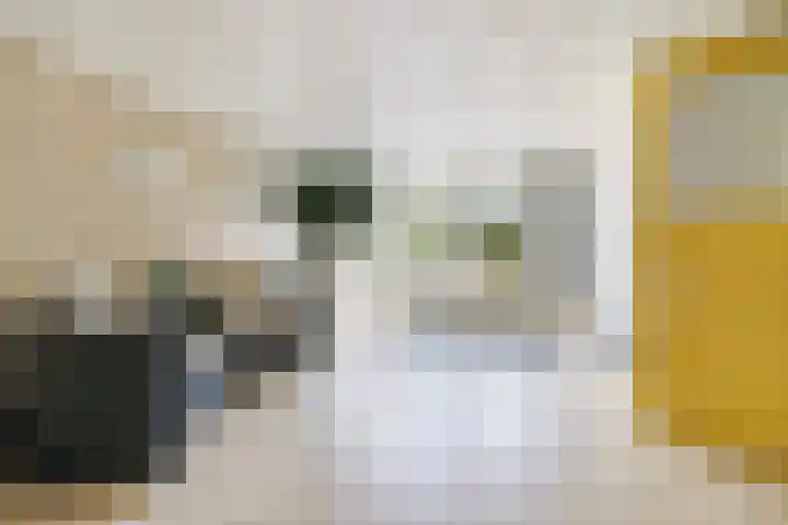Secretaris Verhoeffweg 5 ap39 Naaldwijk thumbnail 8