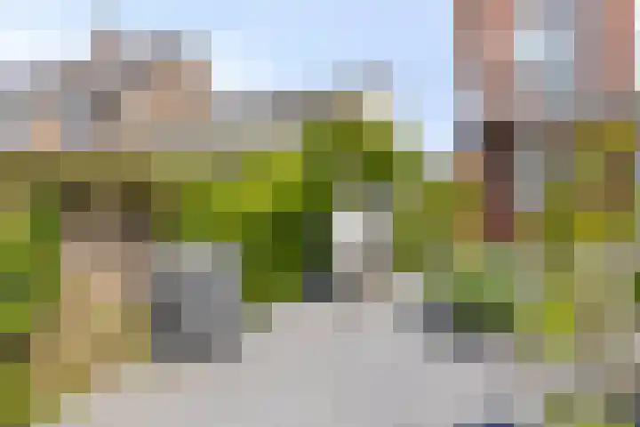 Secretaris Wijnandsstraat 3 Maastricht thumbnail 39