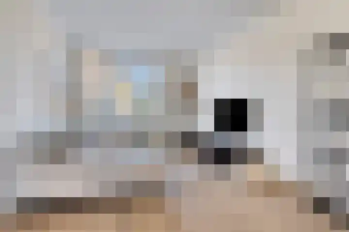 Secretaris Wijnandsstraat 3 Maastricht thumbnail 8