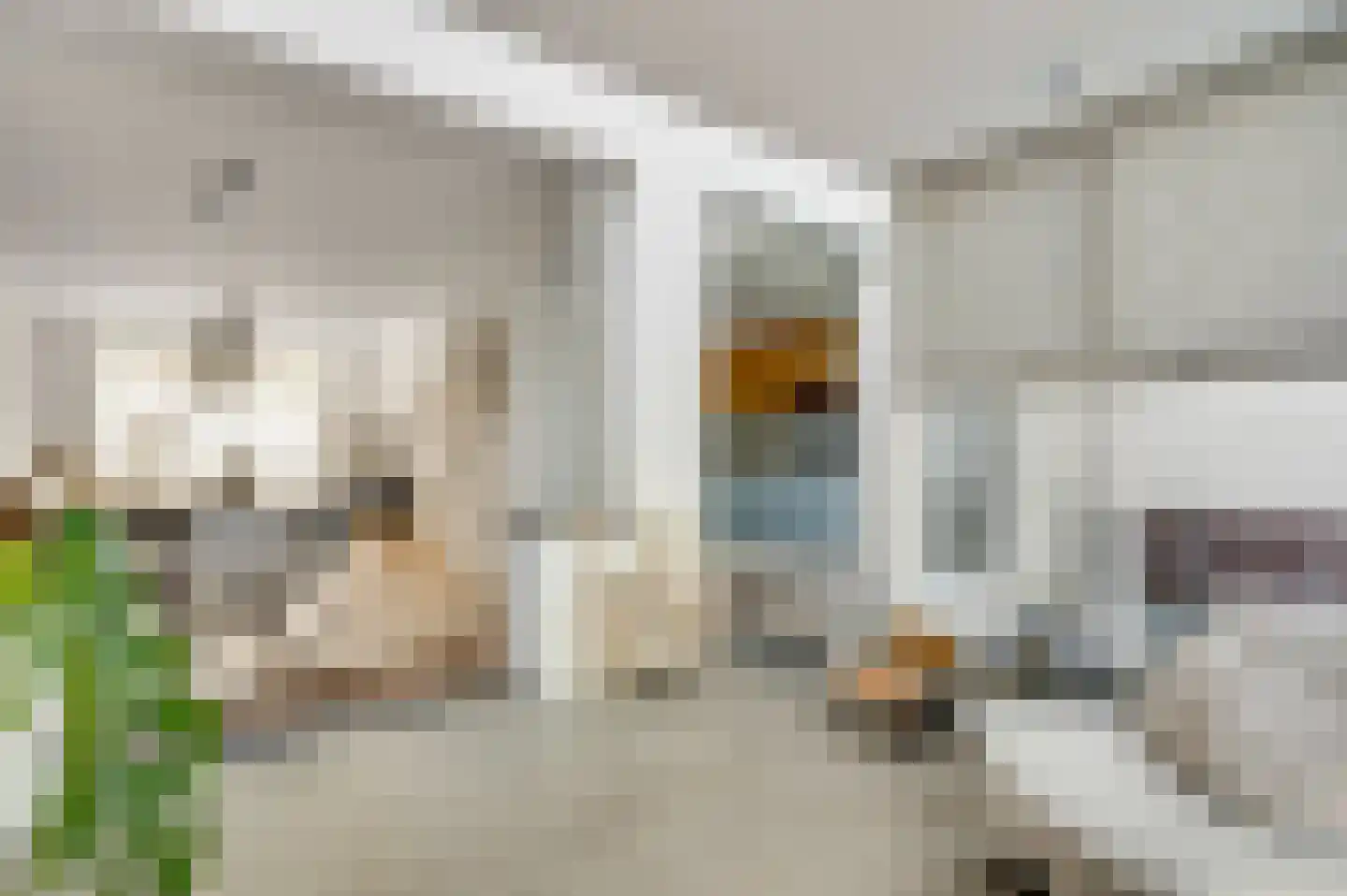 Secretaris Wijnandsstraat 38 Maastricht thumbnail 8