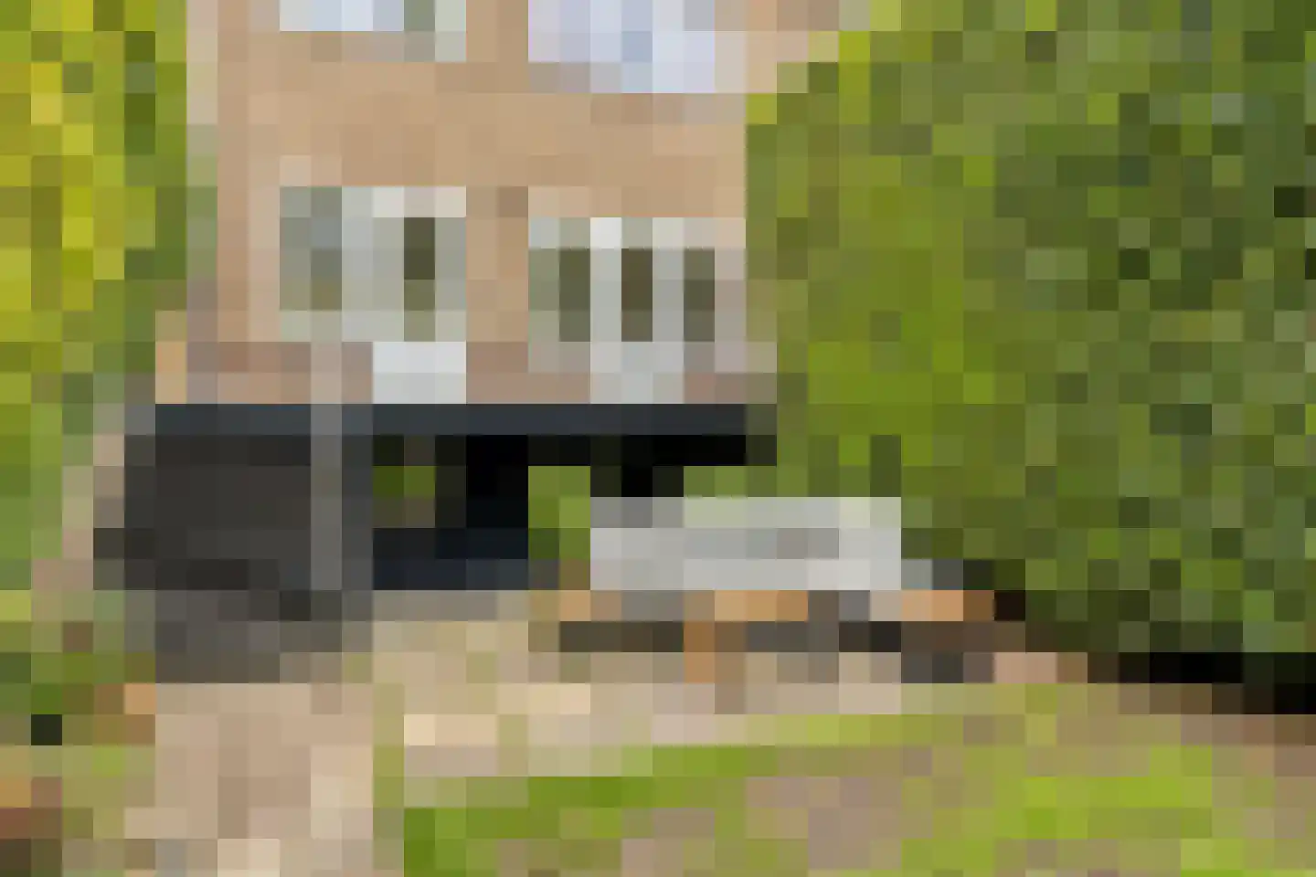 Secretaris Wijnandsstraat 46 Maastricht thumbnail 26