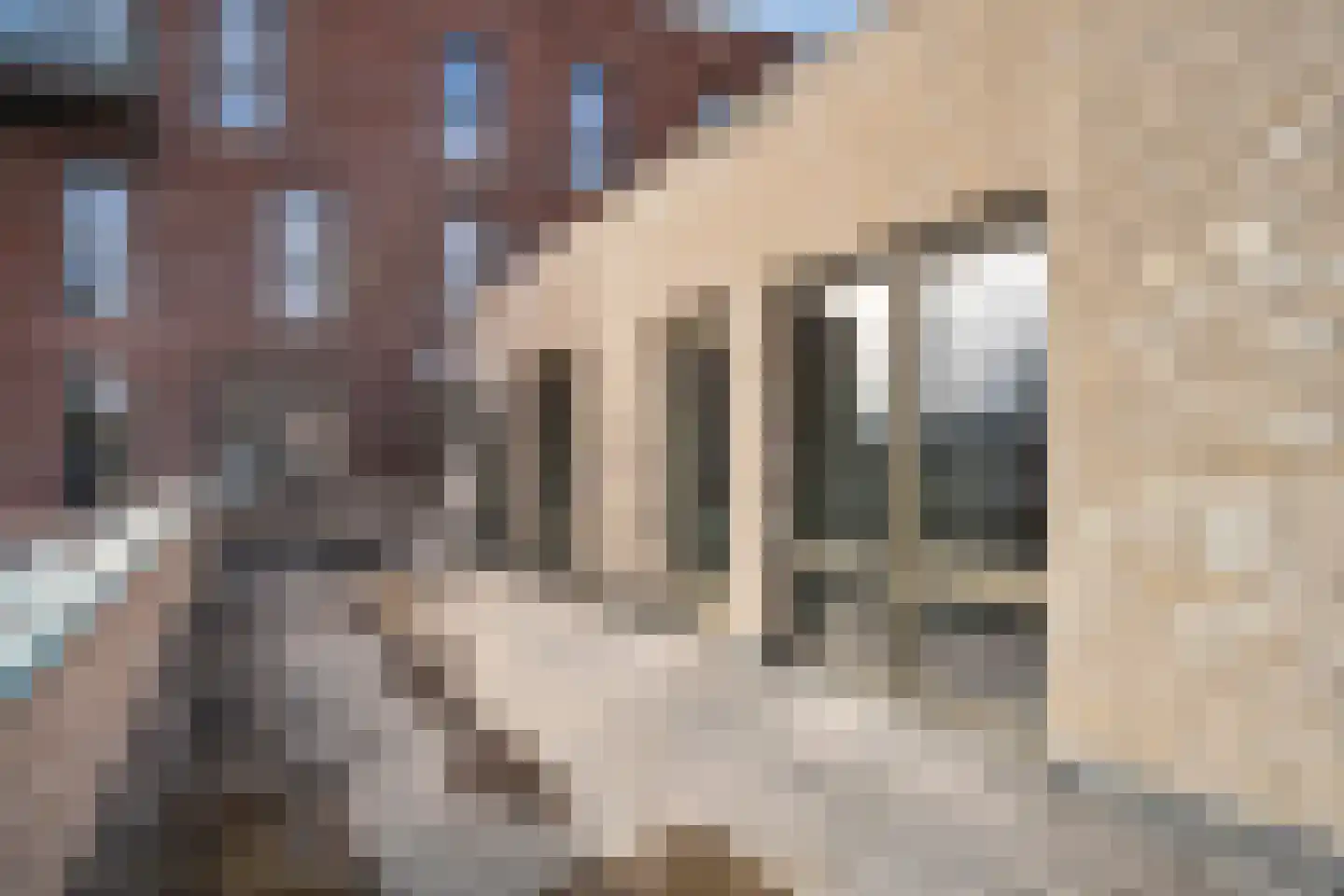 Secretarishof 91 Zwolle thumbnail 33