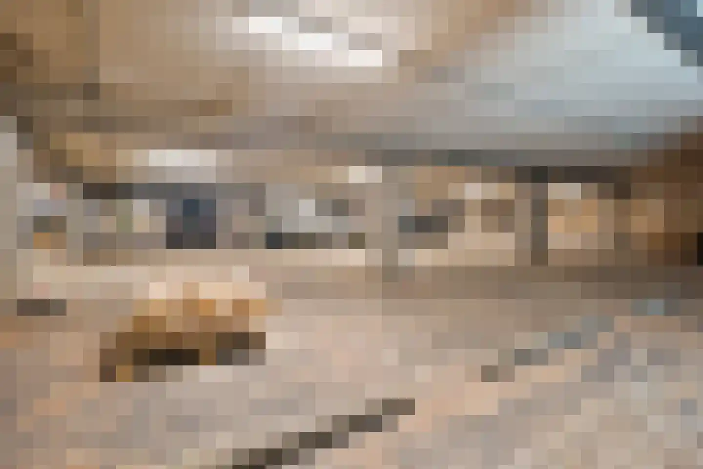 Secretarishof 91 Zwolle thumbnail 5